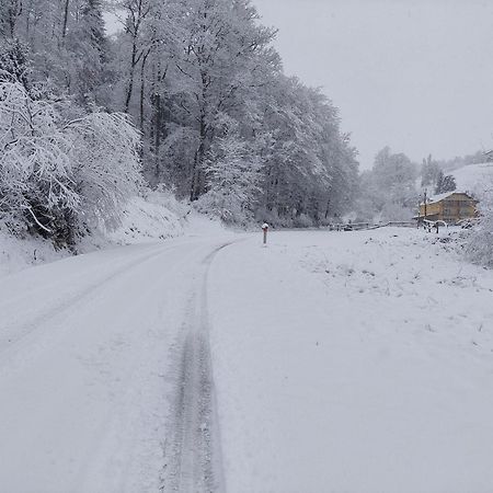 Zelena Oaza Bed and Breakfast Zgornja Kungota Eksteriør billede