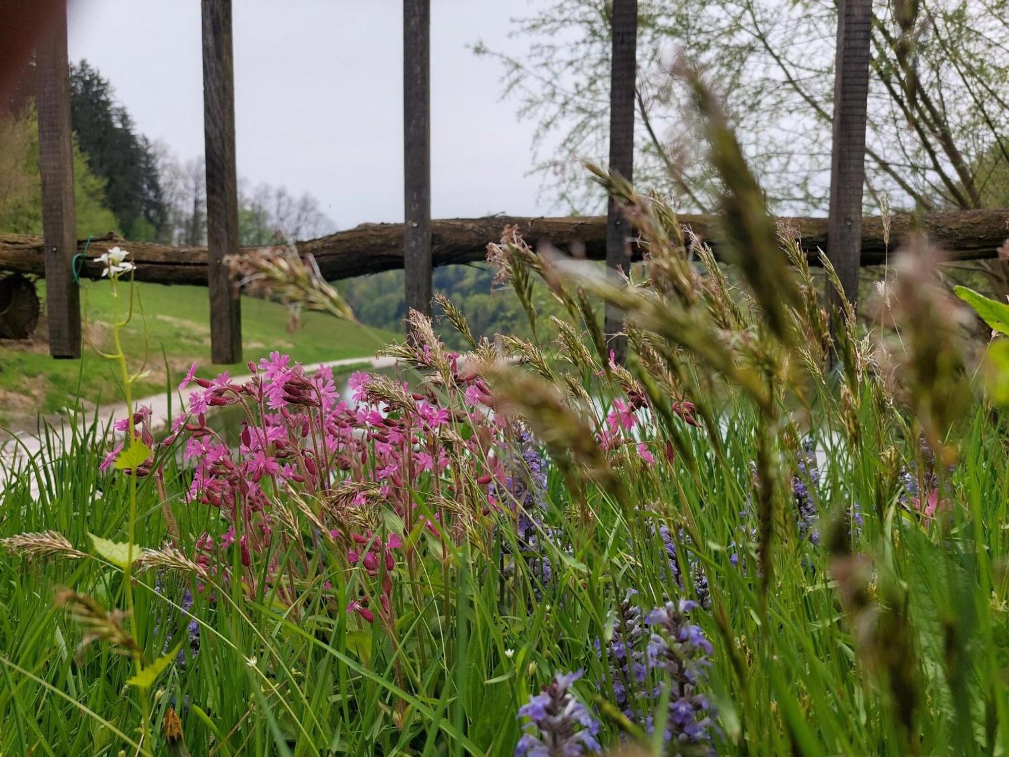 Zelena Oaza Bed and Breakfast Zgornja Kungota Eksteriør billede