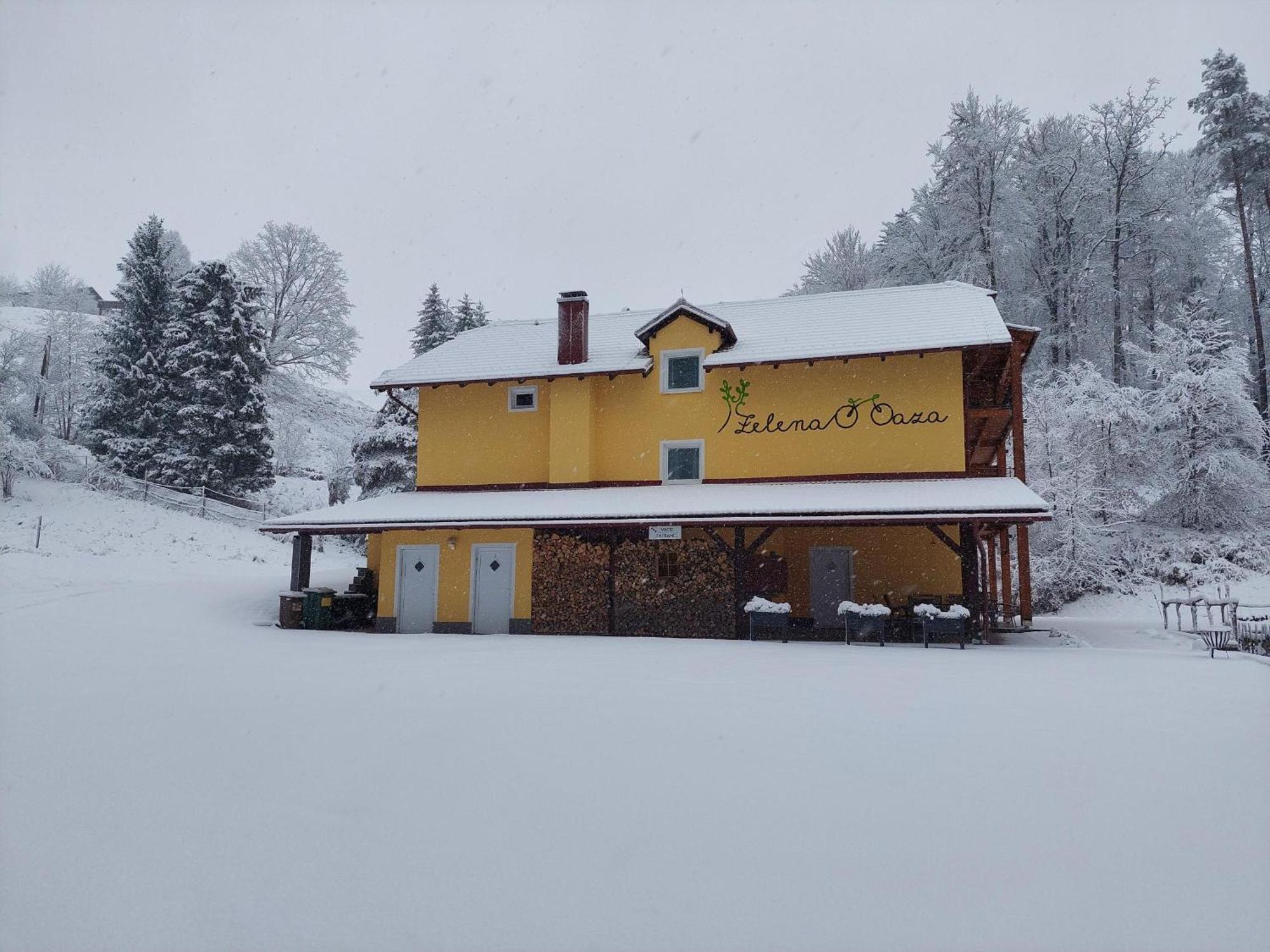 Zelena Oaza Bed and Breakfast Zgornja Kungota Eksteriør billede