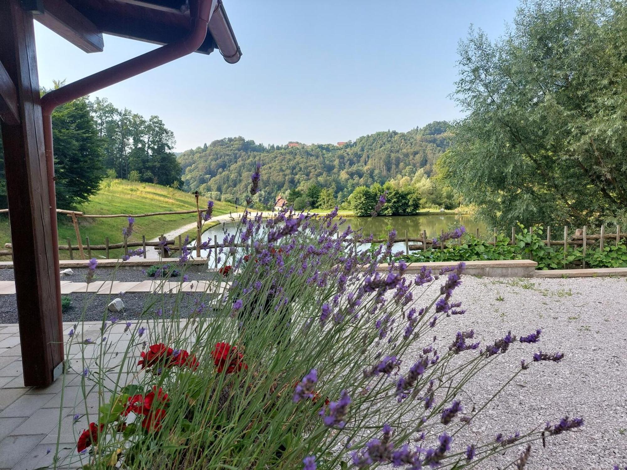Zelena Oaza Bed and Breakfast Zgornja Kungota Eksteriør billede